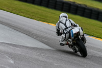 PJ-Motorsport-2019;anglesey-no-limits-trackday;anglesey-photographs;anglesey-trackday-photographs;enduro-digital-images;event-digital-images;eventdigitalimages;no-limits-trackdays;peter-wileman-photography;racing-digital-images;trac-mon;trackday-digital-images;trackday-photos;ty-croes